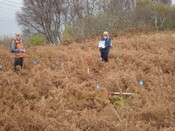 MHG29081_02.JPG