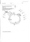 MHG28972_AMC902_sketch.jpg