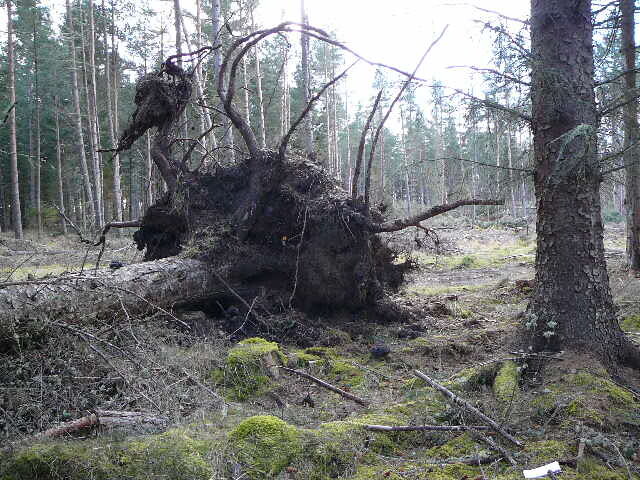 P1000278.JPG