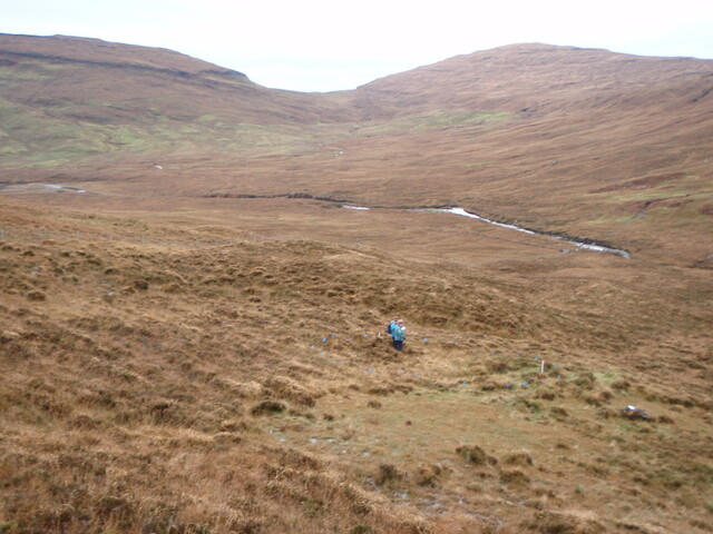 MHG28972_01.JPG