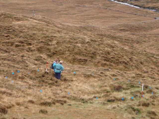 MHG28972_02.JPG