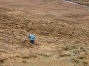 MHG28972_02.JPG