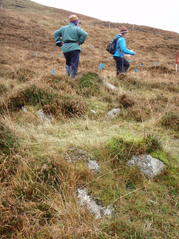 MHG28972_03.JPG
