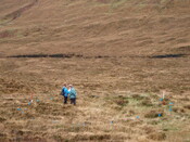 MHG28972_06.JPG