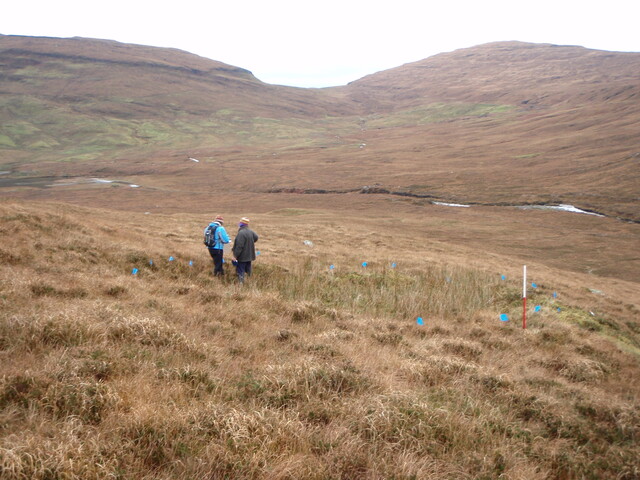 MHG28973_02.JPG