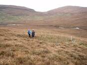MHG28973_02.JPG