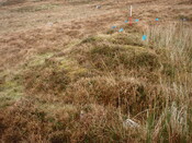 MHG28973_03.JPG