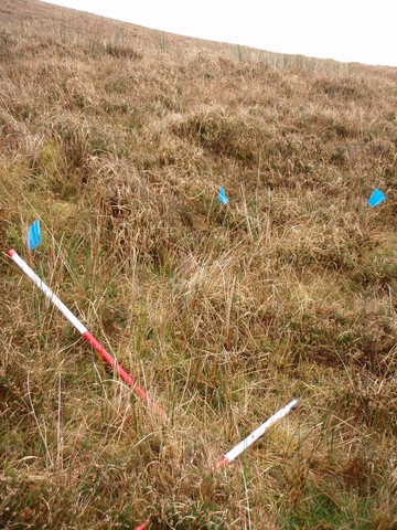 MHG28973_04.JPG
