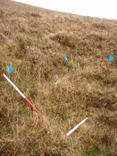 MHG28973_04.JPG
