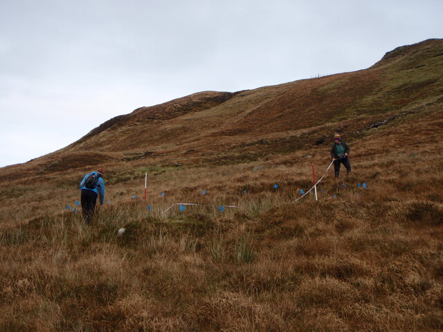 MHG28973_06.JPG