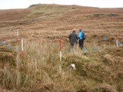 MHG28973_07.JPG