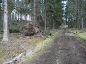 P1000280.JPG
