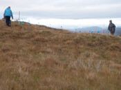 MHG57243_05.JPG