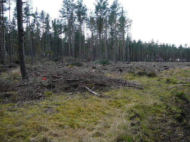 P1000281.JPG