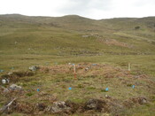 MHG49718_04.JPG