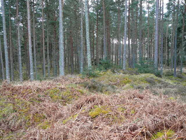 P1000282.JPG