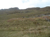 MHG49711_02.JPG