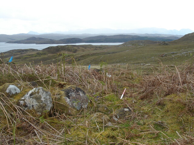 MHG49711_04.JPG