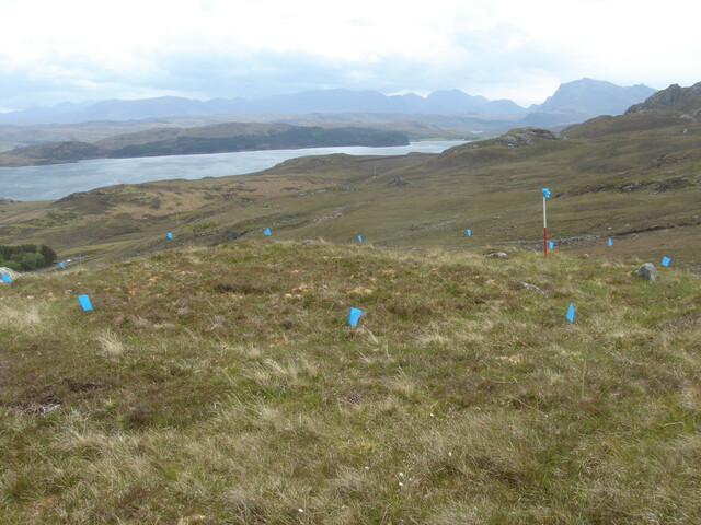 MHG49712_01.JPG