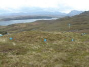 MHG49712_01.JPG