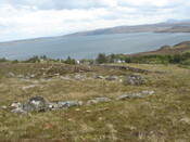 MHG49712_03.JPG