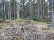 P1000283.JPG