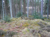 P1000284.JPG