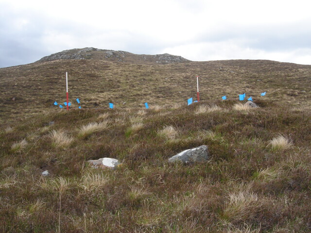MHG49707_03.JPG