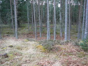 P1000285.JPG
