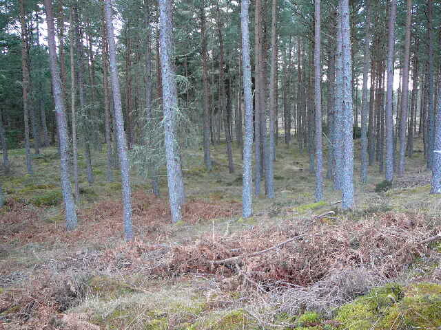 P1000286.JPG