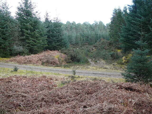 P1000287.JPG