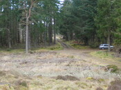 P1000288.JPG