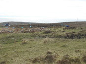 MHG57252_03.jpg