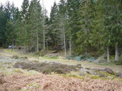 P1000289.JPG