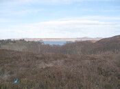 MHG8276_01.JPG