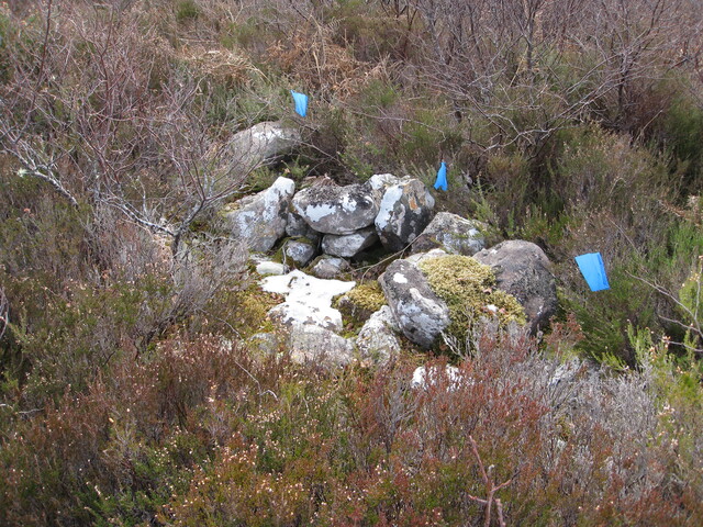 MHG8276_02.JPG