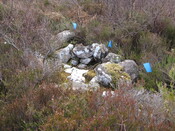 MHG8276_02.JPG