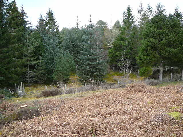 P1000291.JPG