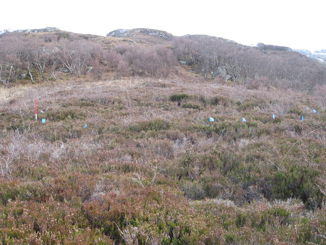 MHG8276_03.JPG