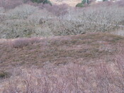 MHG8276_04.JPG