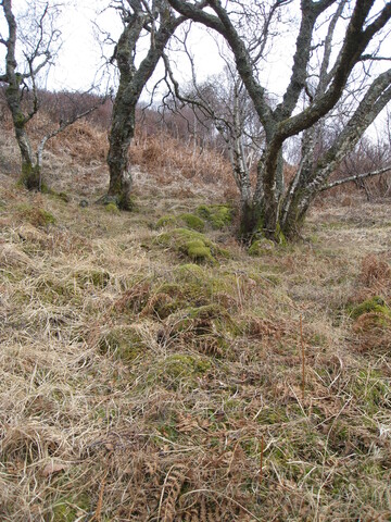 MHG8276_05.JPG