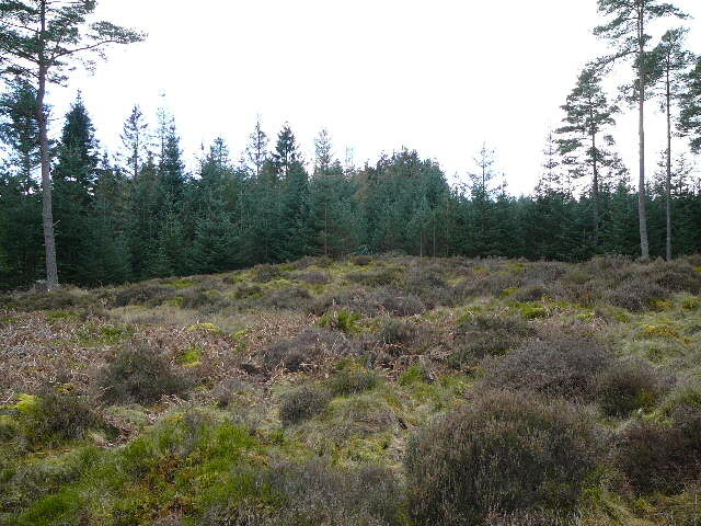 P1000292.JPG