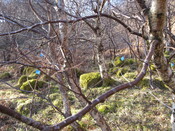 MHG30972_01.JPG