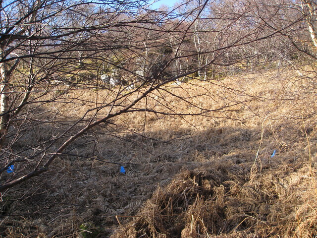 MHG30972_02.JPG
