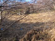 MHG30972_02.JPG