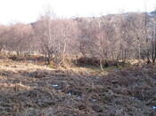 MHG30972_03.JPG