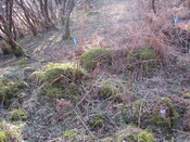 MHG30972_05.JPG