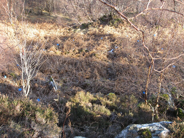 MHG8282_01.JPG