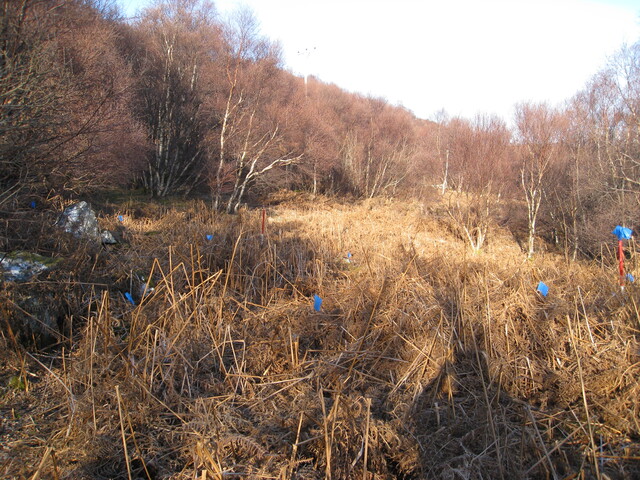 MHG8282_03.JPG