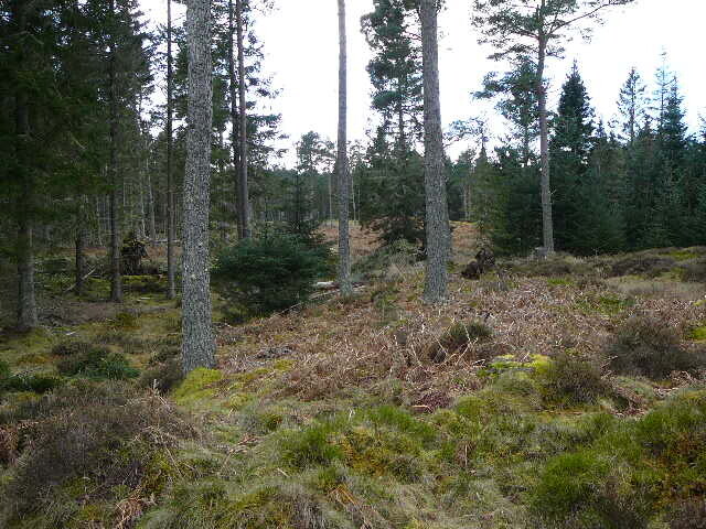 P1000293.JPG